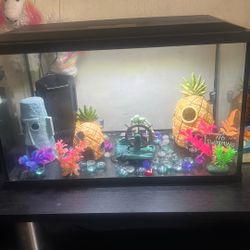 Fish Tiner Ready To Use 