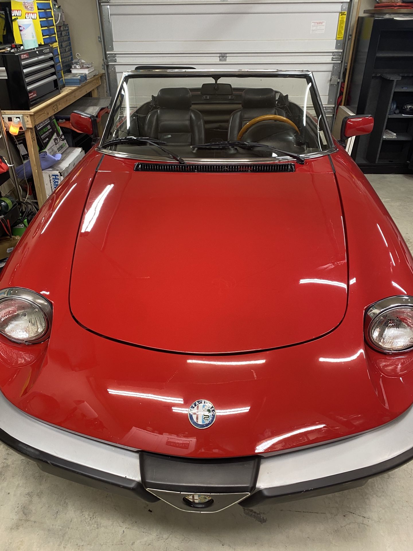 1988 Alfa Romeo Spider