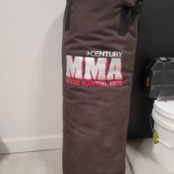 MMA Punching Bag