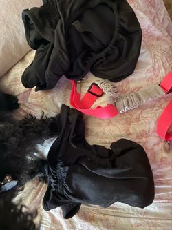 2 pairs of NEW dog period panties and pink suspenders for the panties