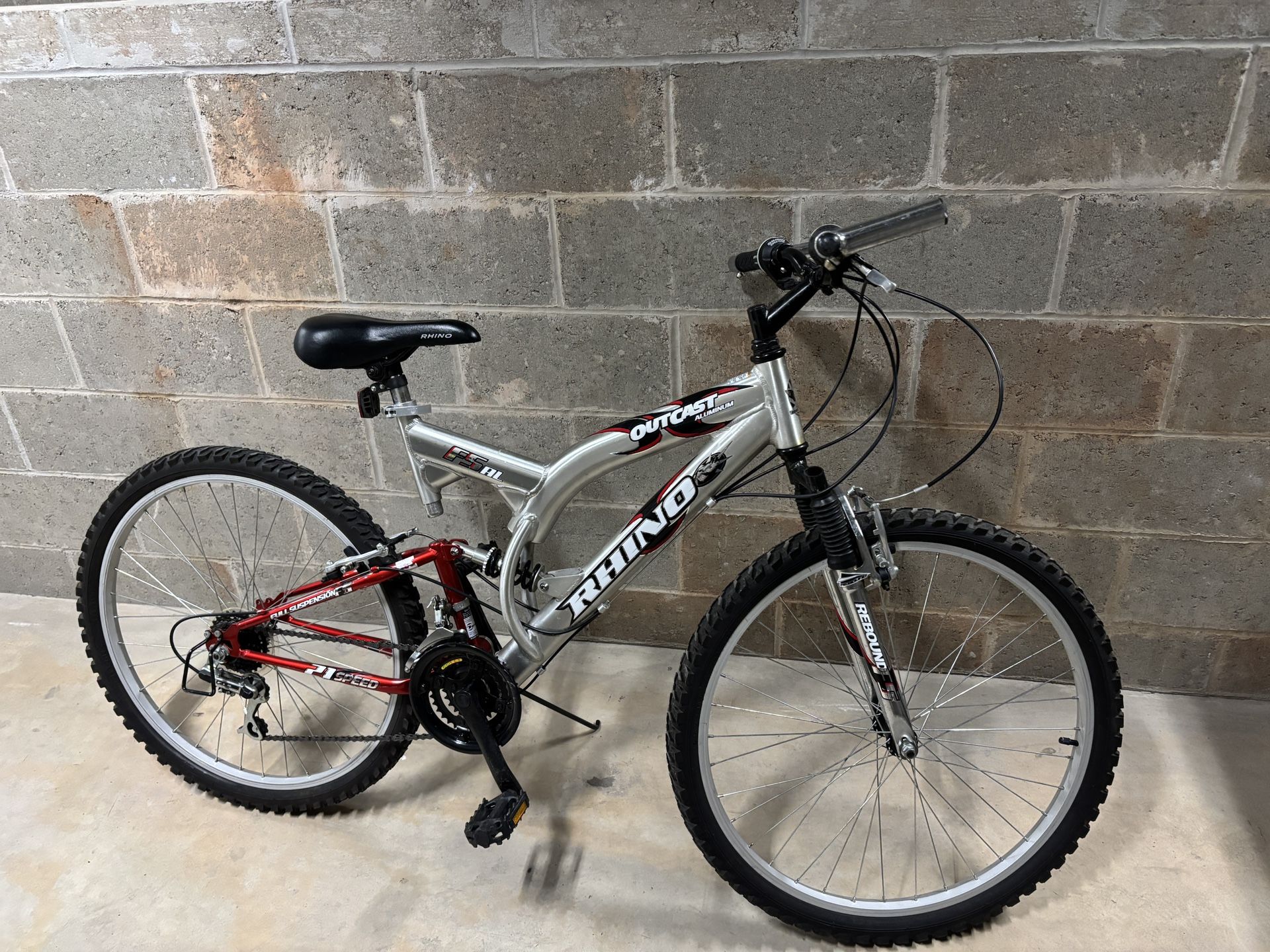 Adult Bike