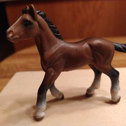 Safari Clydesdale Colt (2004)