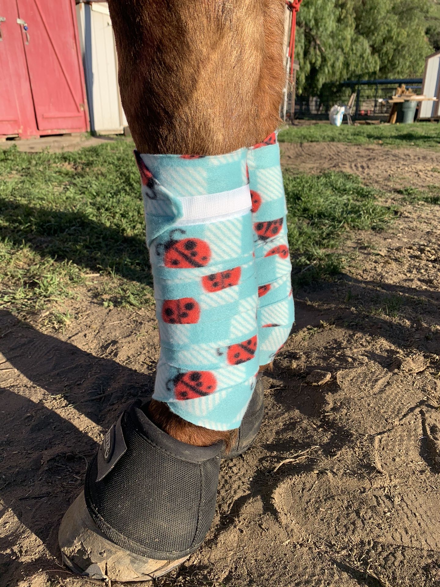 Horse Polo Wraps (hand