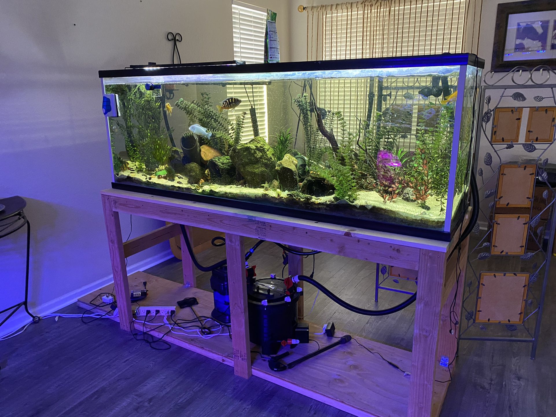 150 Gallon Aquarium/Fish Tank & Equipment