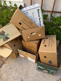 Free Boxes
