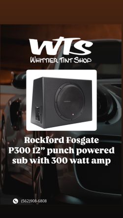 Rockford Fosgate P300 12