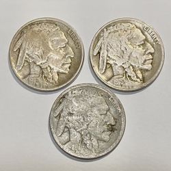 Buffaalo Nickels Lot(3) 16' 18' 19-S