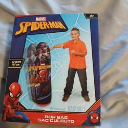 Spiderman 🕷 Bop Bag