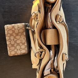 Women Bags