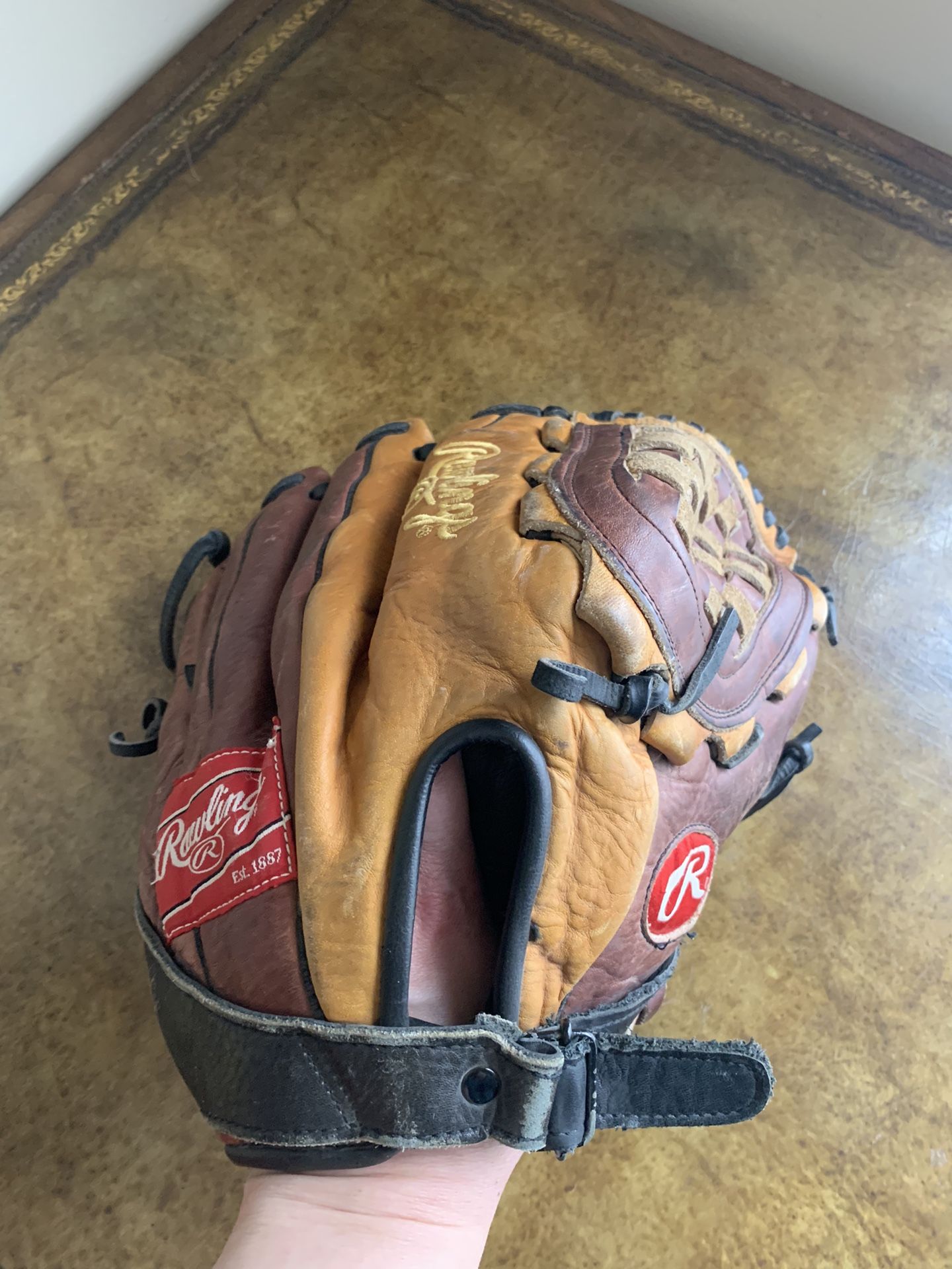Rawlings RB25 Bull Series 12.5” Baseball Glove RHT