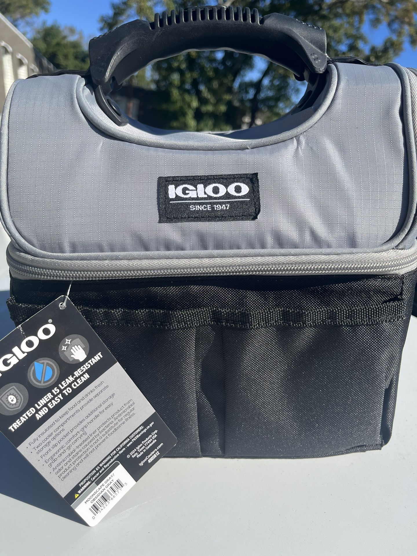 Moonscape Gray IGLOO Cooler Bag