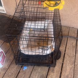 Medium Size Dog Crate Need To Sell Today 