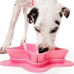 Jeffery Star Dog Food Bowl