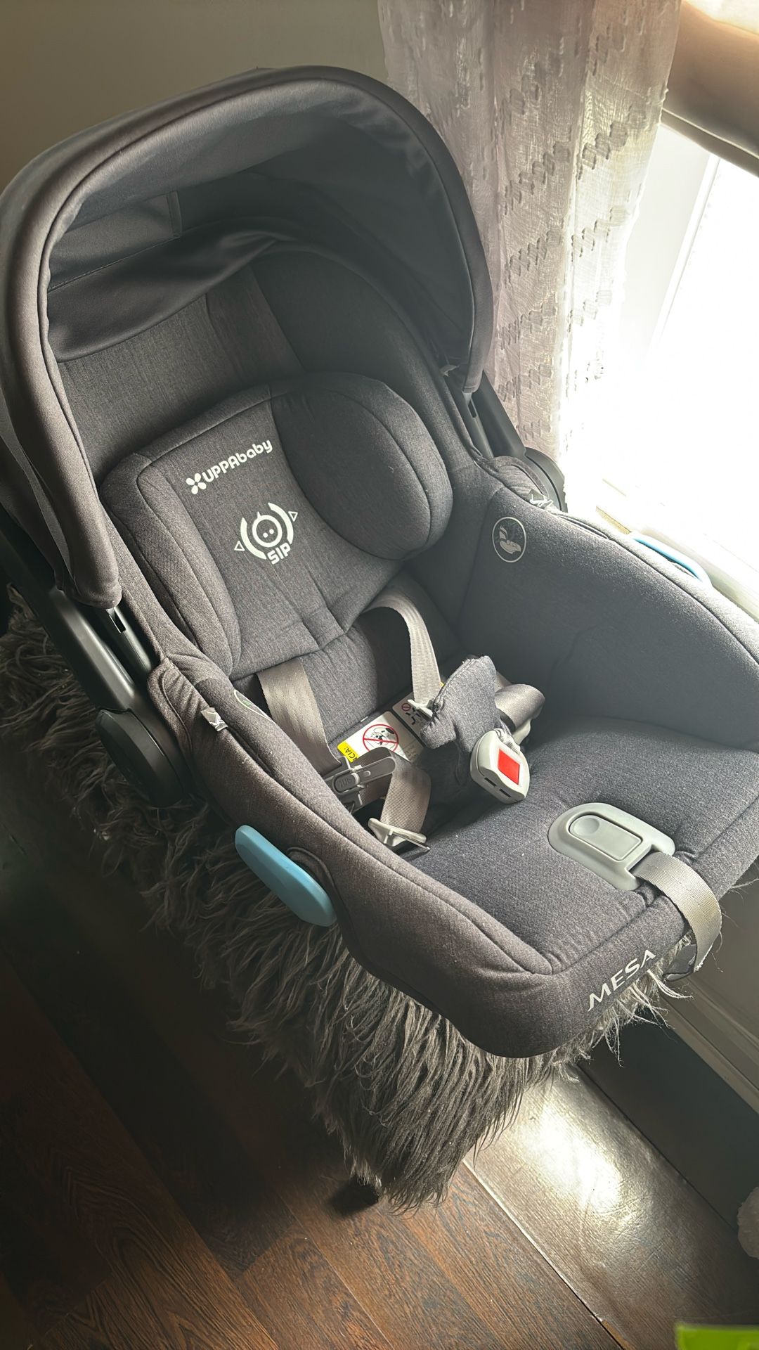 Car Seat