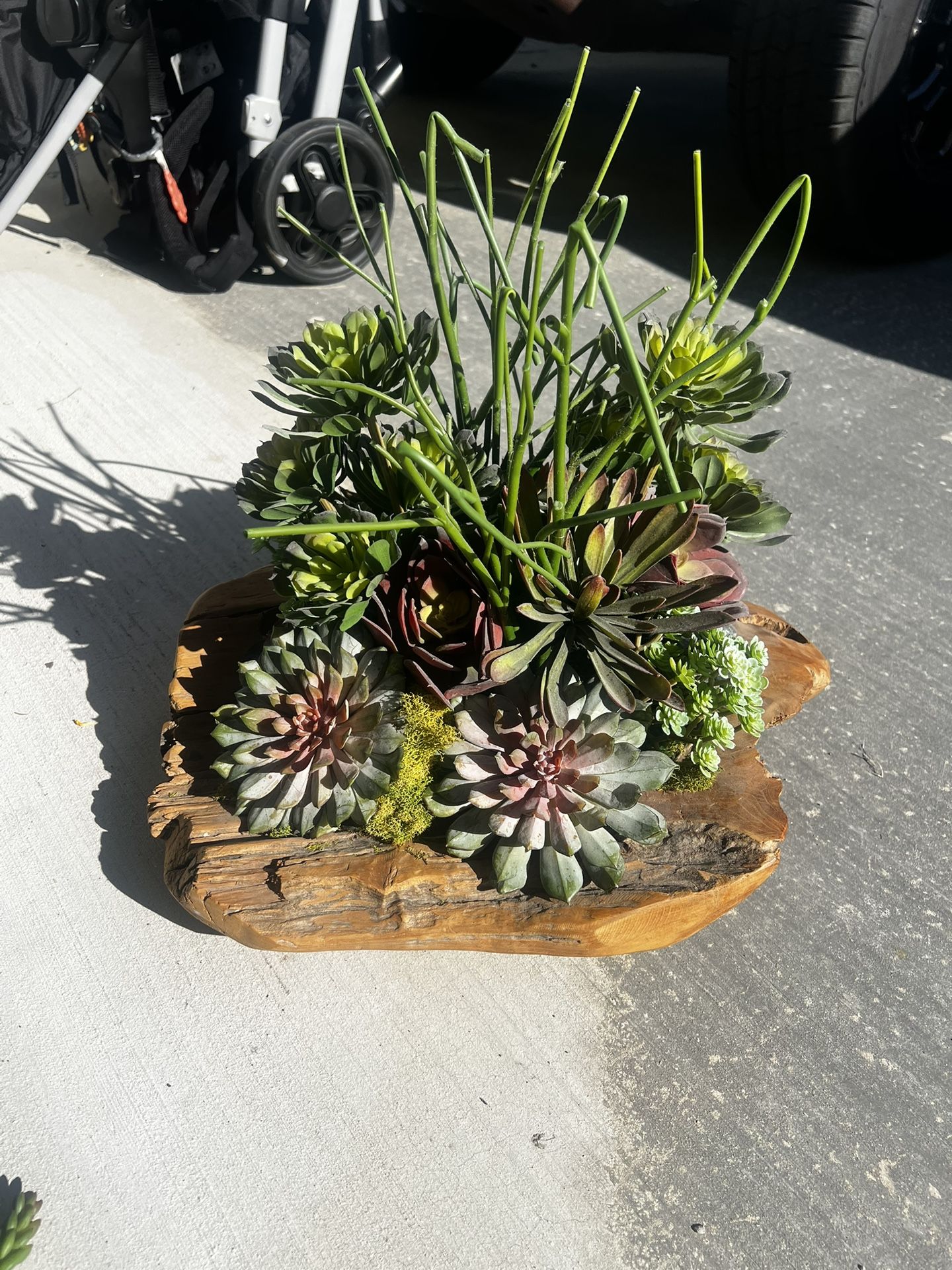 Artificial Succulent Centerpieces 