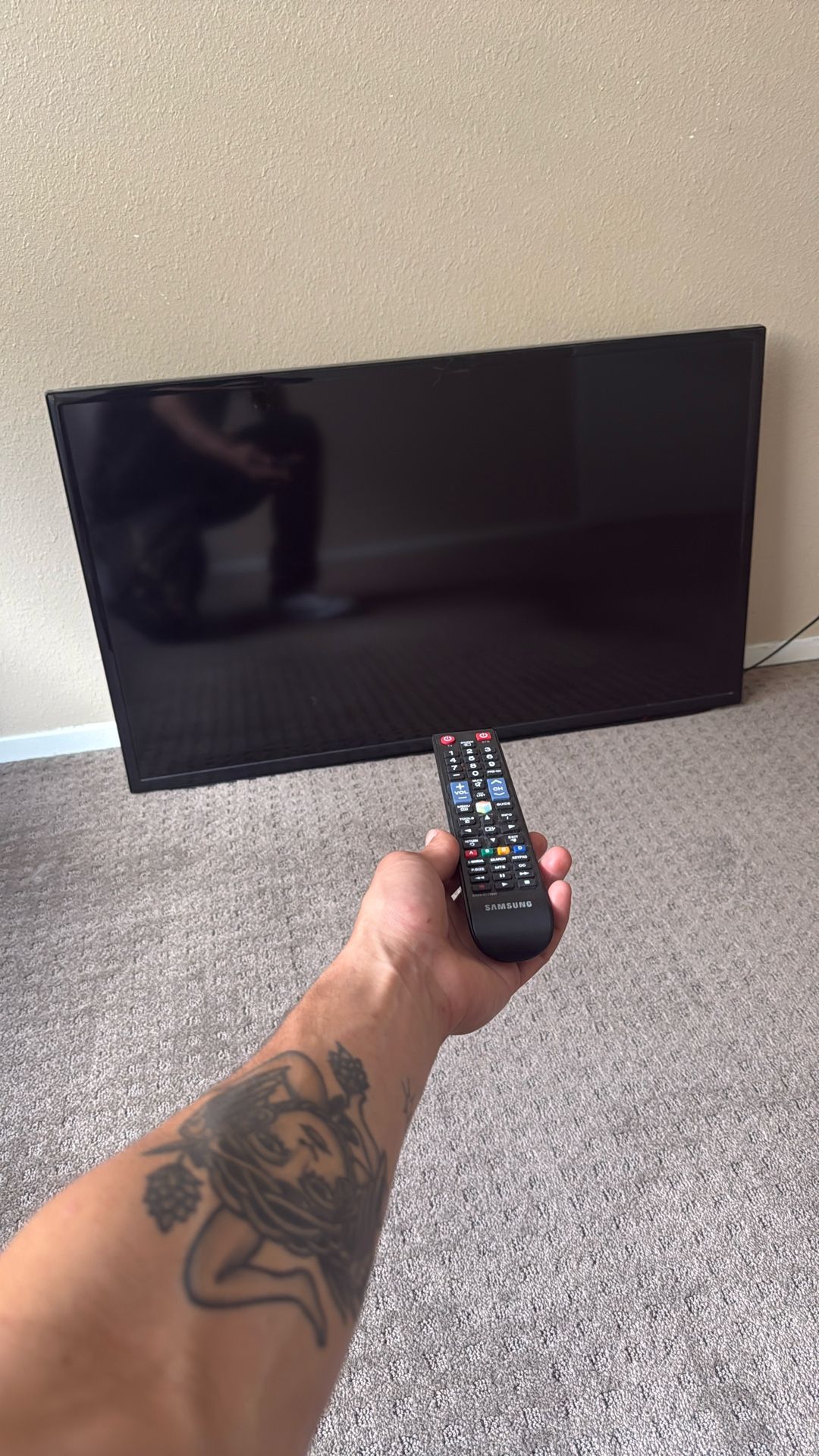 TV