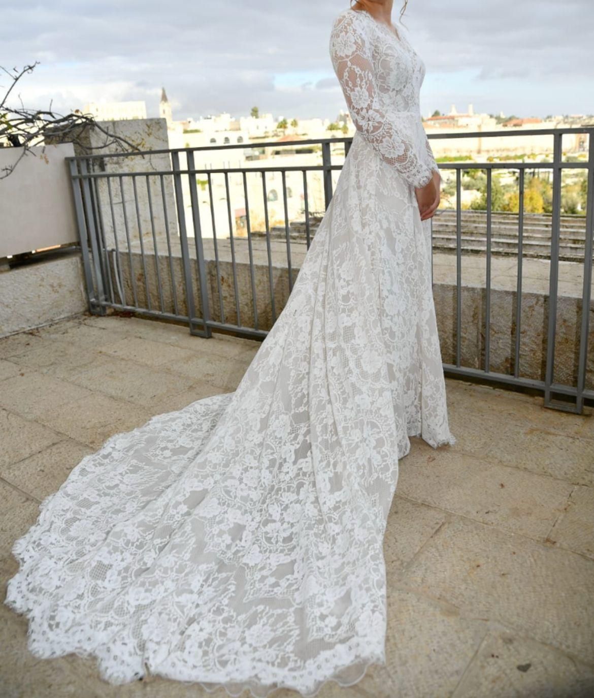 Pronovias Mingsha Wedding Dress