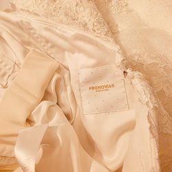 Pronovia Wedding dress