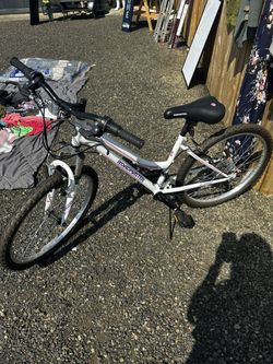 Roadmaster Brand Bike 