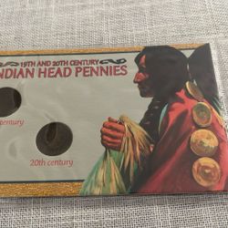 Indian Head Pennies 