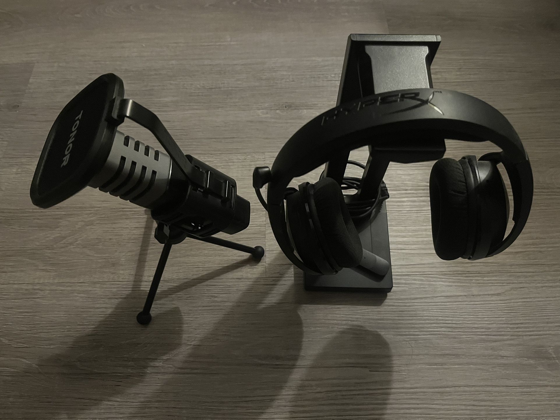 Headset and Microphone Set