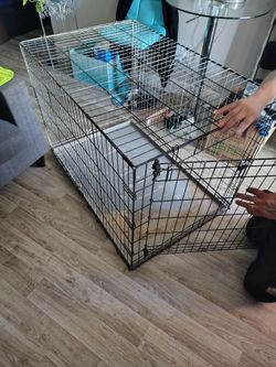 Dog cage