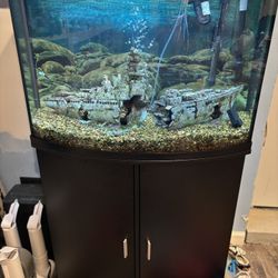 Top fin Bow Front 36 Gallon Tank W/ Canister Filte