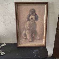 Oil Paintings