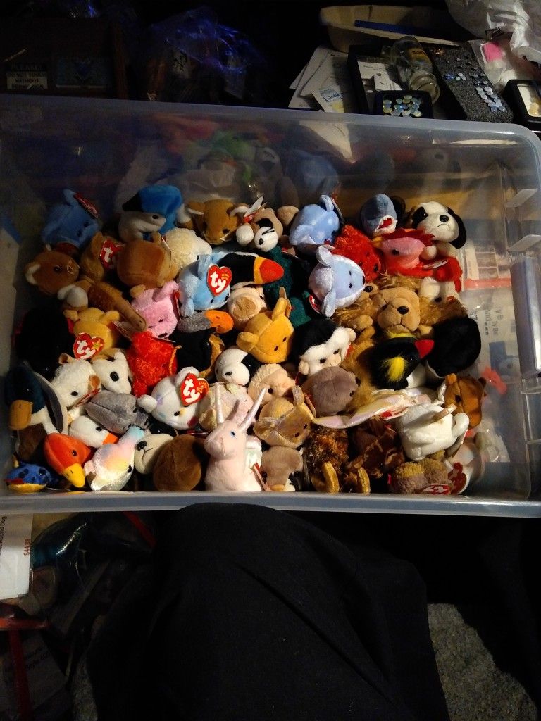 Beanie Babies Collection (700??)