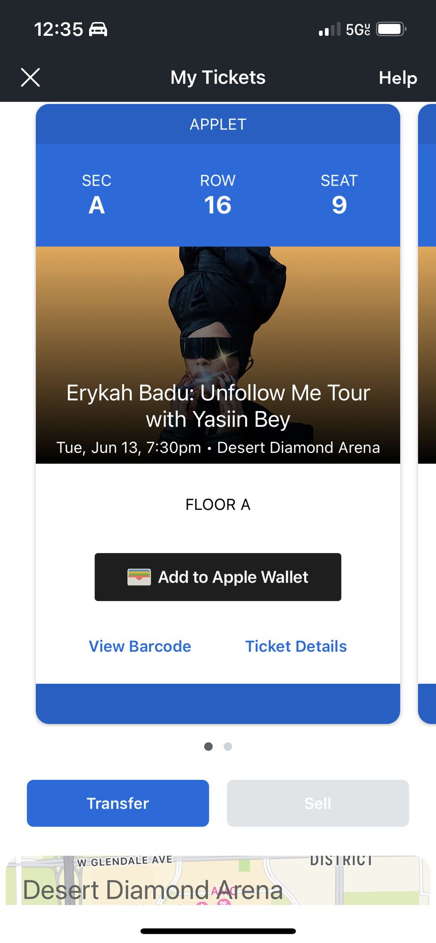 Erykah Badu Concert Ticket