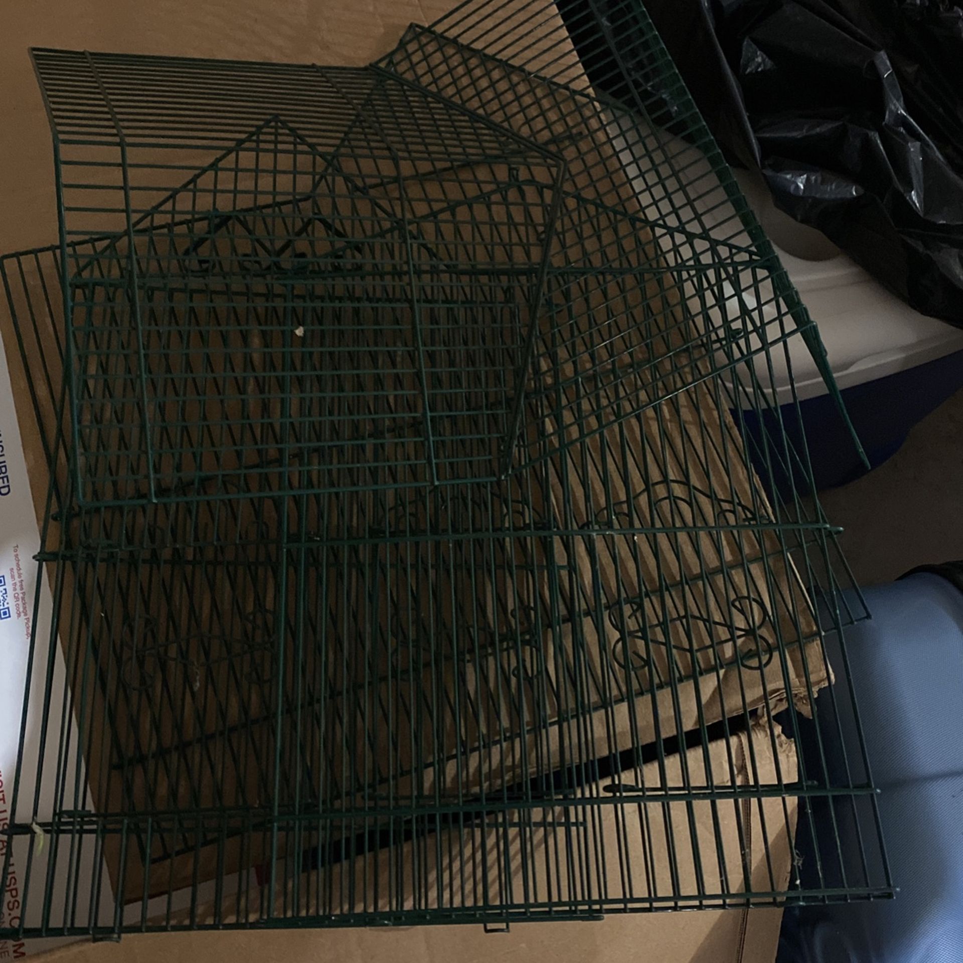 Bird Cage
