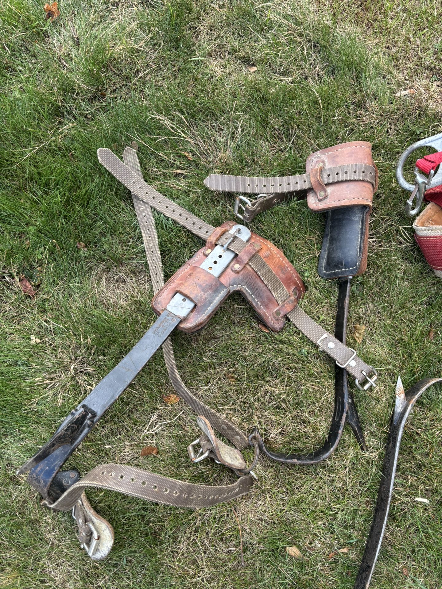 Buckingham Climbing Gaffs 