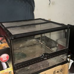 Reptile Enclosure