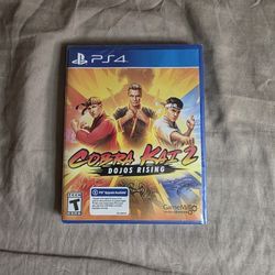 PS4 Cobra Kai 2