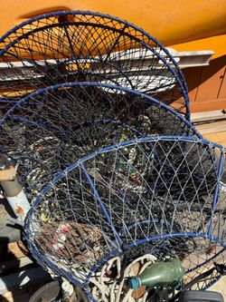 4 Lobster Hoop Nets