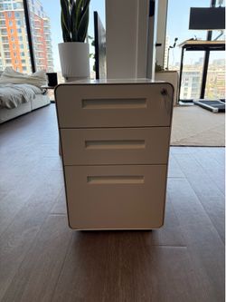 Sleek White 3-Drawer Metal File Cabinet (Laura Davidson Stockpile)