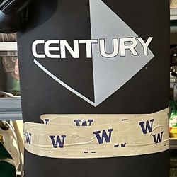 Century Punching Bag with Everlast MMA Gloves