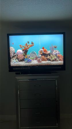 55” Vizio tv 
