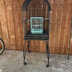 Big Bird Cage
