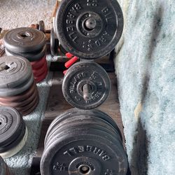 Free Weights & Benches 