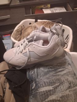Jordan's