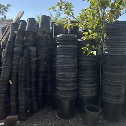 Different Size Plant Pots (check description for prices)