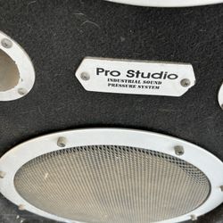 Pro Studio Dual 15” Speaker
