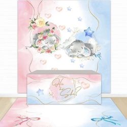 Backdrop For Gender Reveal
