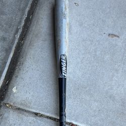 31/28 -3 Zinger Maple Wood Bat