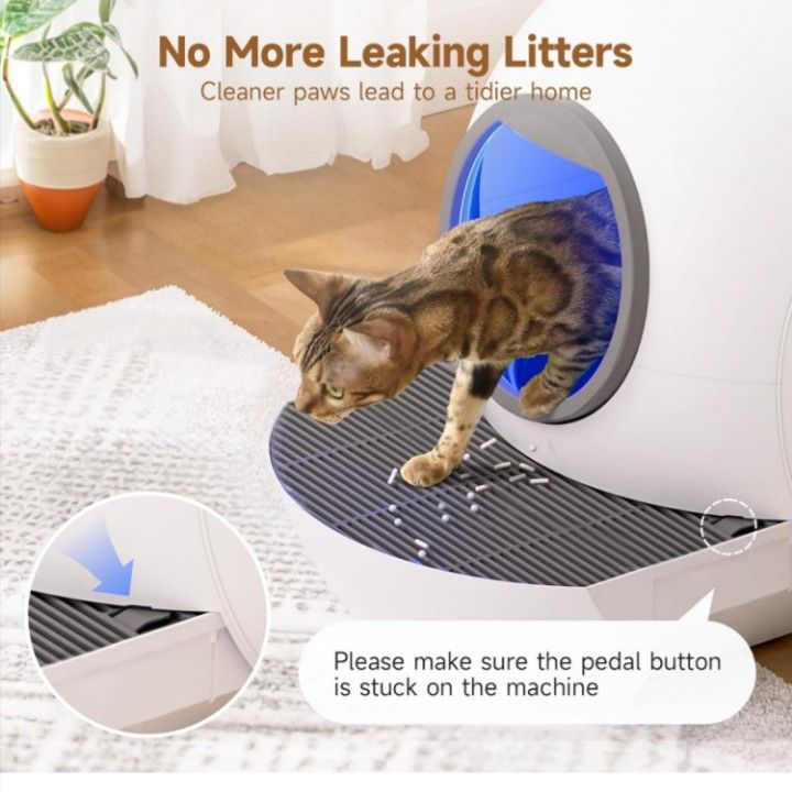Self Cleaning Litter Box
