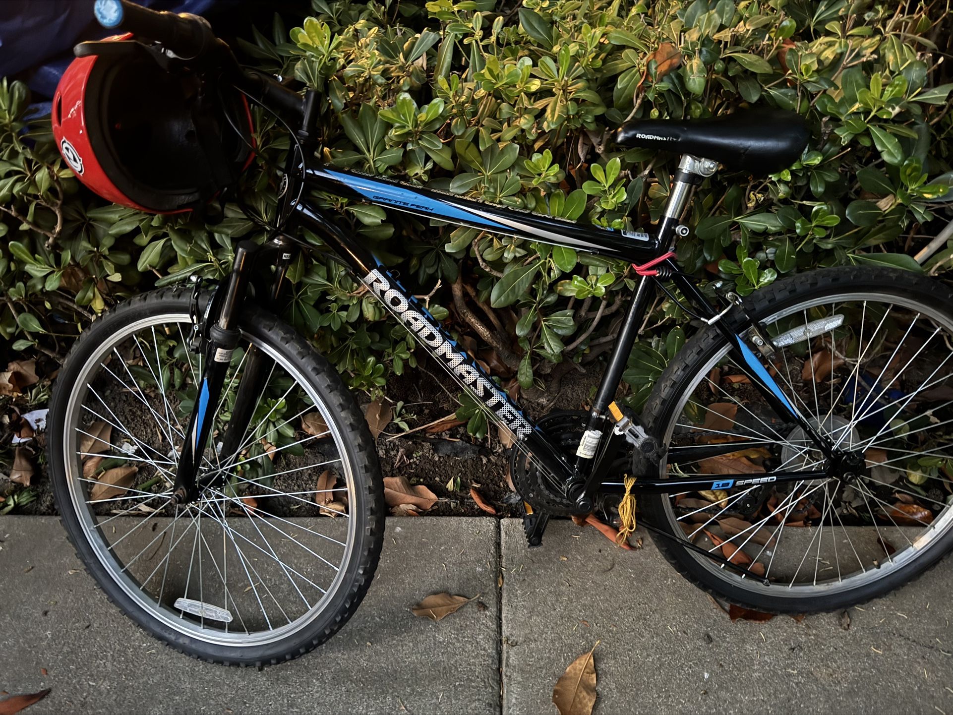 road master mountain bike