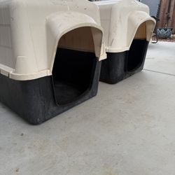 Dog house 