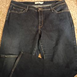Women's Levi's Size 24 Plus Size