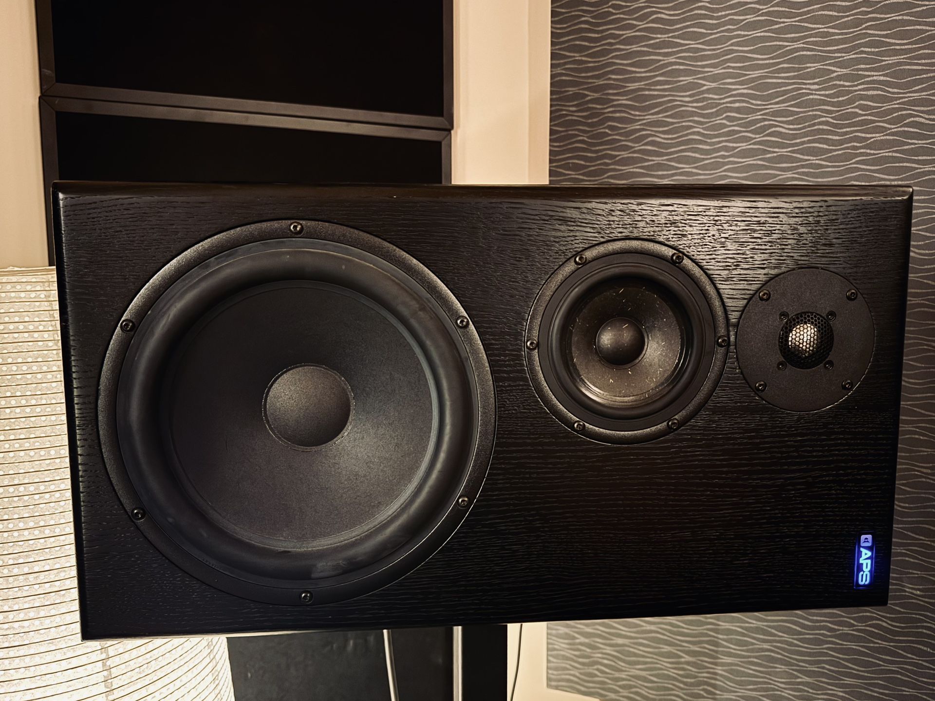 Aps Speakers And Heavy Duty Stands 